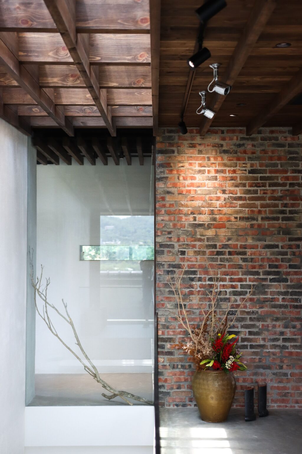 compressed-20240706-IMG_9250