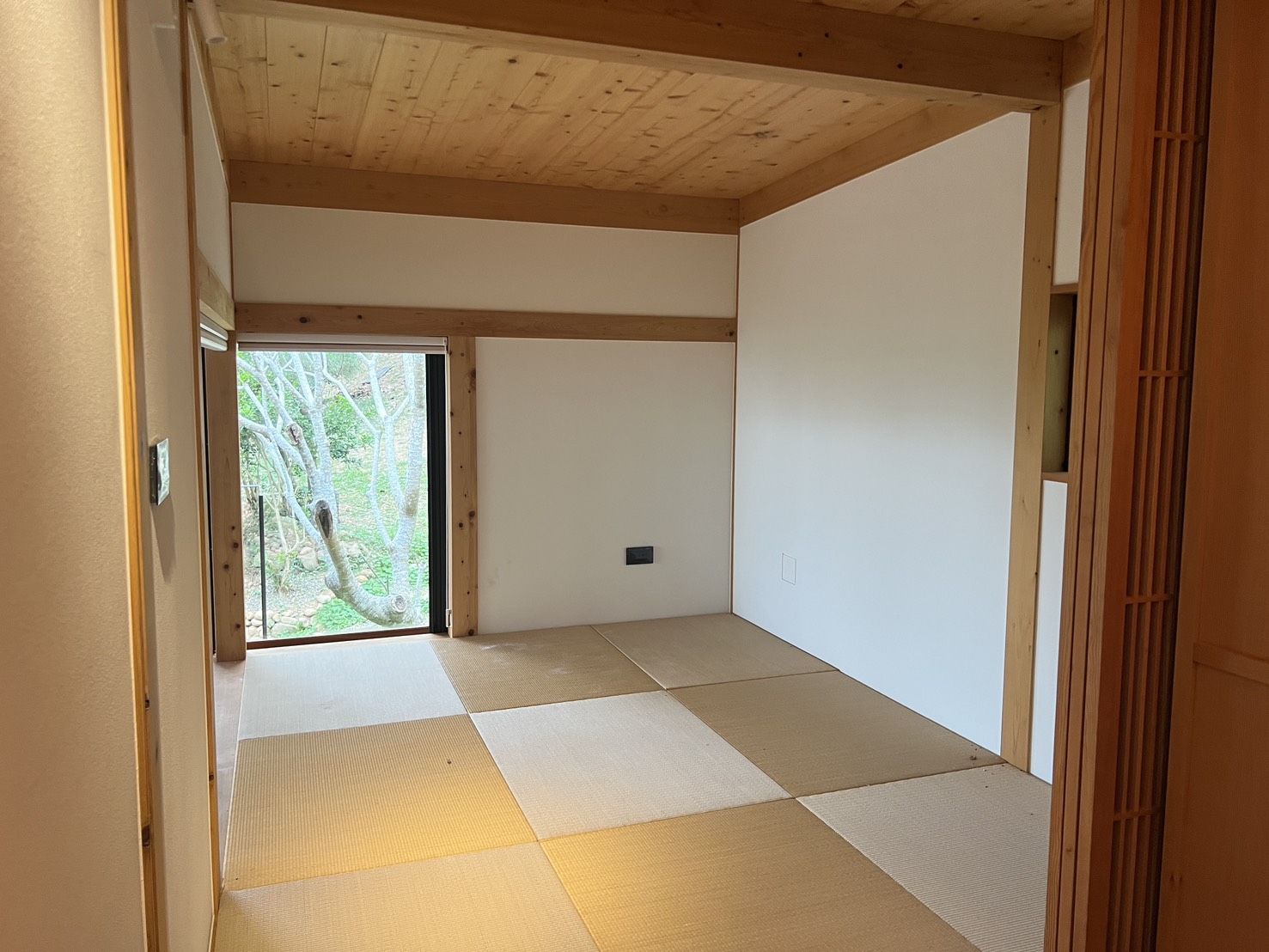 compressed-S__95617032_0